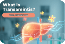 What Is Transaminitis Allwellhealthorganic
