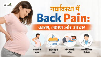 Back Pain During Pregnancy Allwellhealthorhanic.com wellhealthorganic.com Best Health tips Health Tips