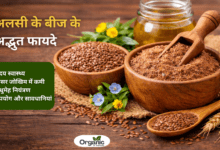 Benefits of Flaxseed Allwellhealthorhanic.com wellhealthorganic.com Best Health tips Health Tips