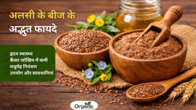 Benefits of Flaxseed Allwellhealthorhanic.com wellhealthorganic.com Best Health tips Health Tips