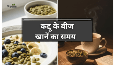 Best Time to Eat Pumpkin Seeds