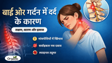 Causes Neck Pain on the Left Side Allwellhealthorhanic.com wellhealthorganic.com Best Health tips Health Tips