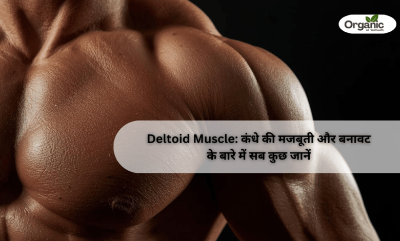 Deltoid Muscle Allwellhealthorhanic.com wellhealthorganic.com Best Health tips Health Tips