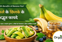 Health Benefits of Banana Peel Allwellhealthorhanic.com wellhealthorganic.com Best Health tips Health Tips