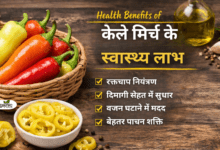 Health Benefits of Banana Peppers Allwellhealthorhanic.com wellhealthorganic.com Best Health tips Health Tips