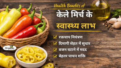 Health Benefits of Banana Peppers Allwellhealthorhanic.com wellhealthorganic.com Best Health tips Health Tips