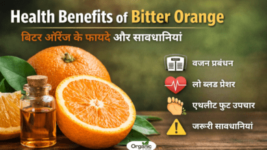 Health Benefits of Bitter Orange Allwellhealthorhanic.com wellhealthorganic.com Best Health tips Health Tips