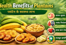 Health Benefits of Plantains Allwellhealthorhanic.com wellhealthorganic.com Best Health tips Health Tips
