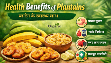 Health Benefits of Plantains Allwellhealthorhanic.com wellhealthorganic.com Best Health tips Health Tips