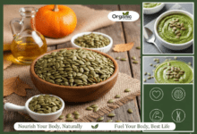 Health Benefits of Pumpkin Seeds Allwellhealthorganic