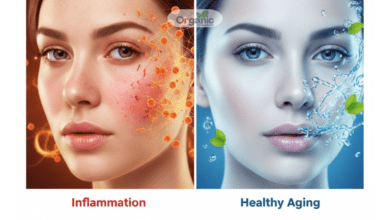 Inflammaging Allwellhealthorhanic.com wellhealthorganic.com Best Health tips Health Tips