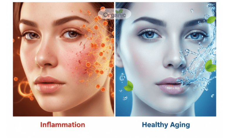 Inflammaging Allwellhealthorhanic.com wellhealthorganic.com Best Health tips Health Tips