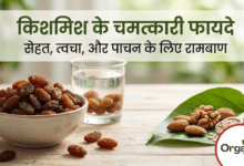 Kishmish Benefits Allwellhealthorhanic.com wellhealthorganic.com Best Health tips Health Tips