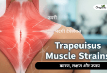Trapezius Muscle Strains Allwellhealthorganic
