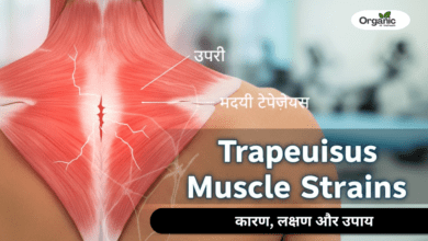 Trapezius Muscle Strains Allwellhealthorganic
