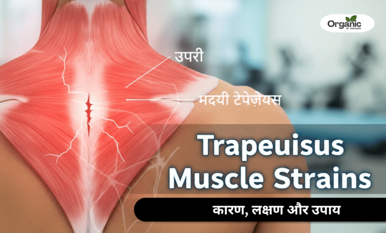 Trapezius Muscle Strains Allwellhealthorganic