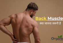 Back Muscles Allwellhealthorhanic.com wellhealthorganic.com Best Health tips Health Tips