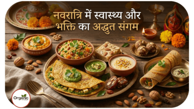Diabetes-Friendly Navratri Dishes Allwellhealthorhanic.com wellhealthorganic.com Best Health tips Health Tips