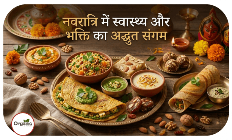 Diabetes-Friendly Navratri Dishes Allwellhealthorhanic.com wellhealthorganic.com Best Health tips Health Tips
