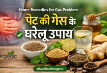 Home Remedies for Gas Problem in Hindi Allwellhealthorganic.com