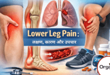 Lower Leg Pain.. Allwellhealthorhanic.com wellhealthorganic.com Best Health tips Health Tips