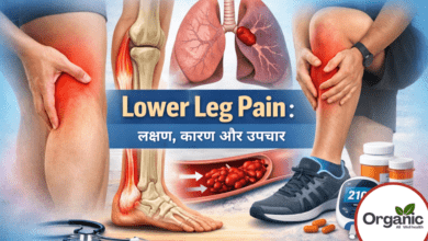 Lower Leg Pain.. Allwellhealthorhanic.com wellhealthorganic.com Best Health tips Health Tips