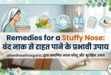 Remedies for a Stuffy Nose Allwellhealthorhanic.com wellhealthorganic.com Best Health tips Health Tips