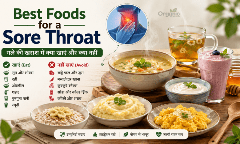 Best foods for a sore throat with soup, yogurt, tea, smoothie, and oatmeal.