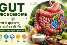 Gut Microbiome and healthy gut health infographic