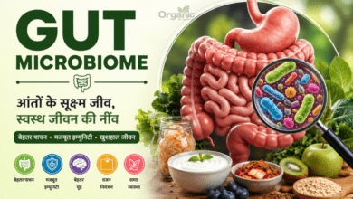 Gut Microbiome and healthy gut health infographic