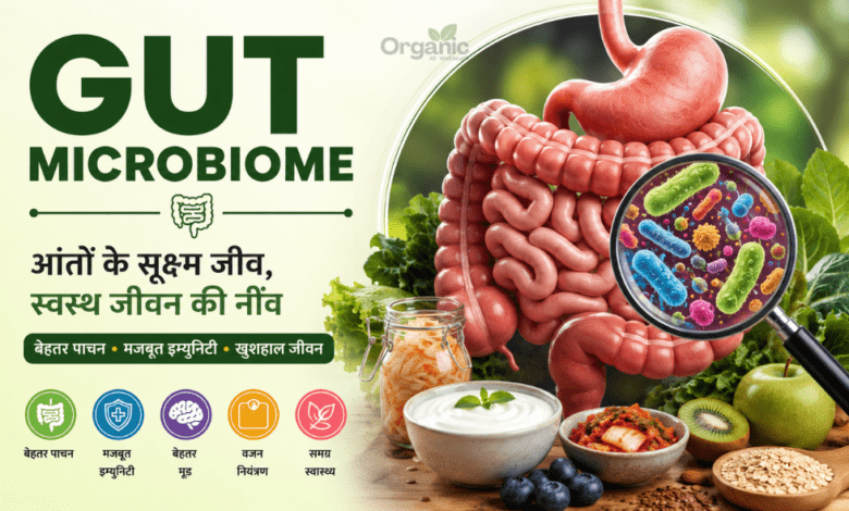 Gut Microbiome and healthy gut health infographic