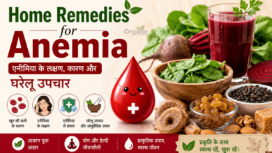 Home Remedies for Anemia in Hindi