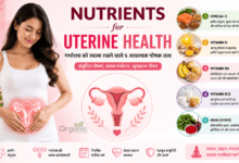 5 essential nutrients for uterine health and female reproductive wellness.