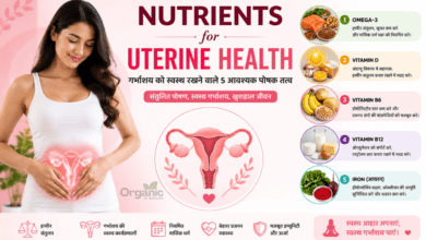 5 essential nutrients for uterine health and female reproductive wellness.