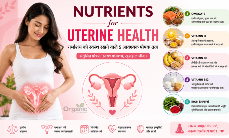 5 essential nutrients for uterine health and female reproductive wellness.