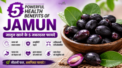 जामुन के 5 प्रमुख स्वास्थ्य लाभ (Benefits of Jamun)