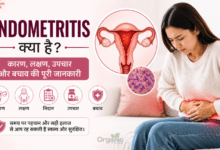 Endometritis से प्रभावित गर्भाशय का चित्र और महिला में दिखने वाले प्रमुख लक्षण।