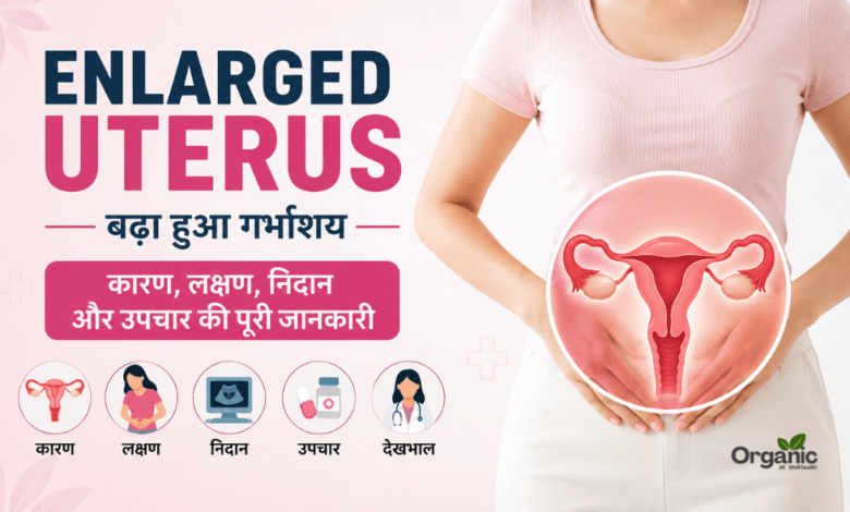 Enlarged Uterus (बढ़ा हुआ गर्भाशय) का मेडिकल चित्र और इसके प्रमुख कारण, लक्षण व उपचार।
