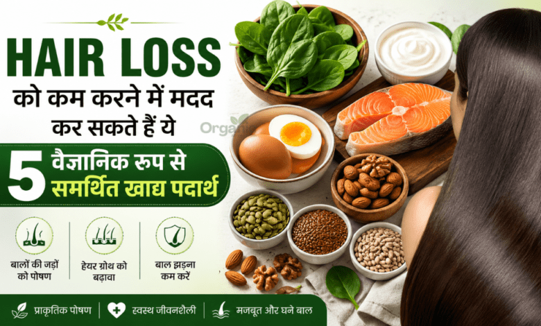 Hair loss कम करने में मदद करने वाले 5 वैज्ञानिक रूप से समर्थित खाद्य पदार्थ, जिनमें पालक, अंडे, फैटी फिश, नट्स, बीज और ग्रीक योगर्ट शामिल हैं।
