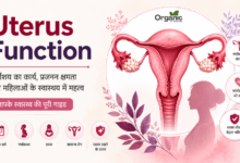 Uterus Function infographic showing uterus anatomy, fertility, pregnancy, and women's health.