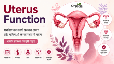 Uterus Function infographic showing uterus anatomy, fertility, pregnancy, and women's health.
