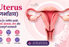 Uterus (गर्भाशय) की संरचना, कार्य, रोग और महिला प्रजनन स्वास्थ्य को दर्शाता मेडिकल इन्फोग्राफिक।