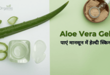 Aloe Vera Gel से पाएं मानसून में हेल्दी स्किन – 5 आसान तरीके