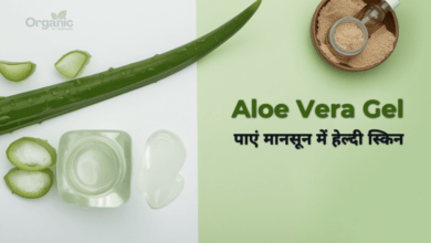 Aloe Vera Gel से पाएं मानसून में हेल्दी स्किन – 5 आसान तरीके