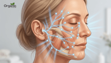 Facial paralysis में नर्व रिपेयर के लिए इलेक्ट्रोएक्यूपंक्चर थेरेपी का चित्रण