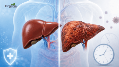 Hepatitis के लक्षण, प्रकार और बचाव के तरीके | AllWellHealthOrganic