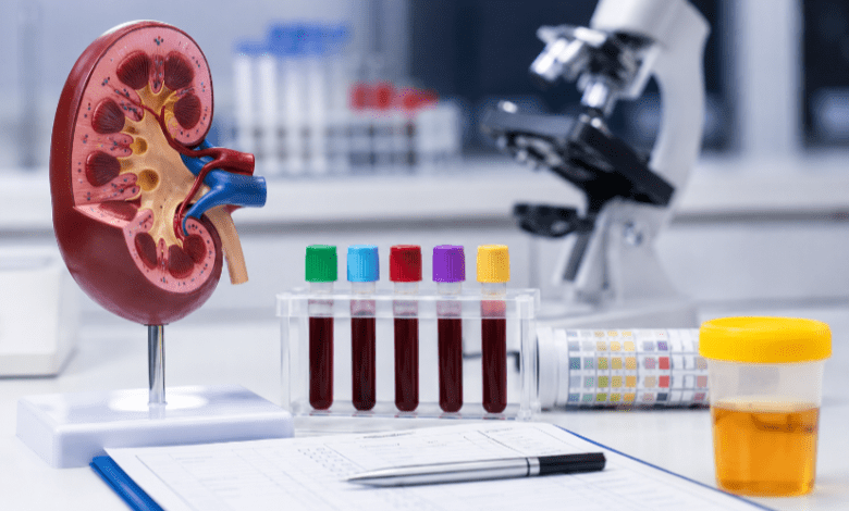 Kidney Function Test
