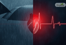 Monsoon infections and heart health – rainy season risk for diabetes and hypertension patients