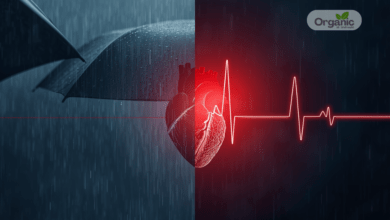 Monsoon infections and heart health – rainy season risk for diabetes and hypertension patients