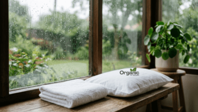 Monsoon hygiene tips — clean towel and pillowcase near a rainy window representing skin care during monsoon